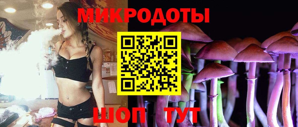 Псилоцибиновые грибы Psilocybe Курчалой