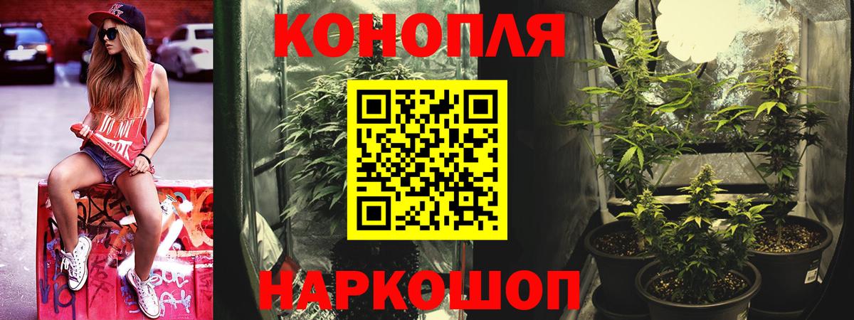 Шишки марихуана конопля Курчалой